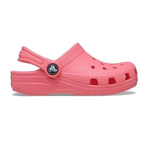 Classic Clog T - Guava