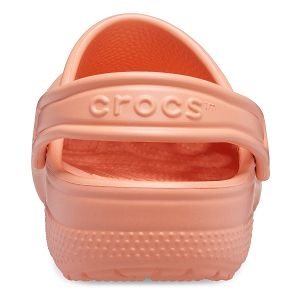 Classic Clog T - Papaya