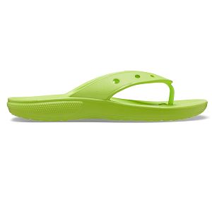 Classic Crocs Flip - Limeade