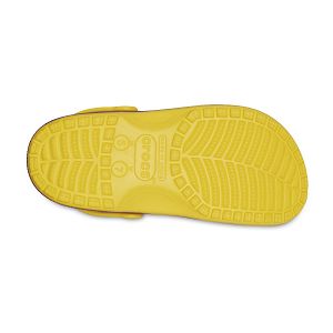 NBA Los Angeles Lakers Cls Clg - Sunflower