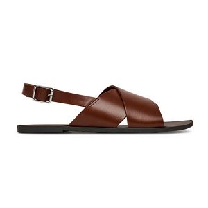 TIA 2.0 - cognac