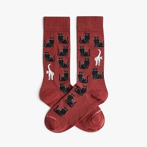 Black Cats - Terracotta Red