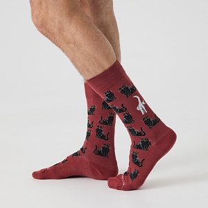 Black Cats - Terracotta Red