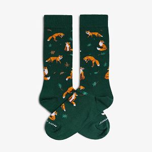 Dusk Fox - Green