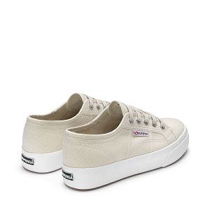 2730-COTU - Grey Seashell