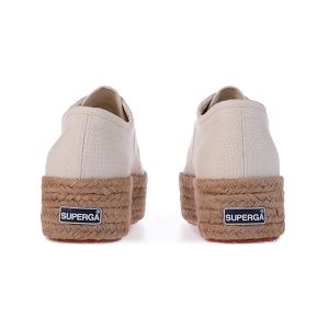 2790-COTROPEW - Beige Gesso