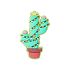Holiday Cactus