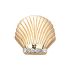 Gold Seashell