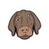 Bronny Dog