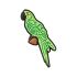 Green Parrot