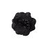 Black Rose