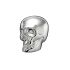 Silver Skull