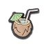 Tropical Coconut Drink