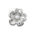 Silver Mnchrm Daisy 2