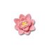 Pink Lotus
