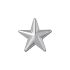 Silver Star Badge
