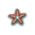 Gem Star Fish