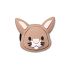 Teensy Tiny Rabbit