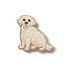 Golden Retriever Puppy