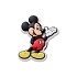 Disney Mickey Mouse
