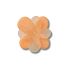 Blooming Orange Flower