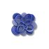 Blooming Dark Blue Flower