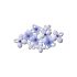 Blooming Blue Florals