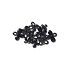 Blooming Black Florals