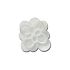 Blooming White Flower 1