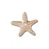 Gold and Pearl Starfish