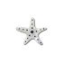 Silver Starfish