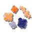Blooming Ombre Florals 5 Pack