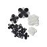 Blooming BW 5 Pack