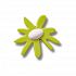 Green Crafted Daisy