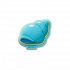 Blue Cone Seashell