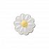 Tiny Darling Daisy