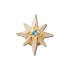 Celestial Starburst With Gem