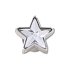 Silver Gem Sparkle Star