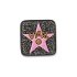 Viral Fame Star
