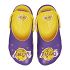NBA Los Angeles Lakers Cls Clg - Sunflower